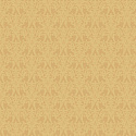 NK2 004/1